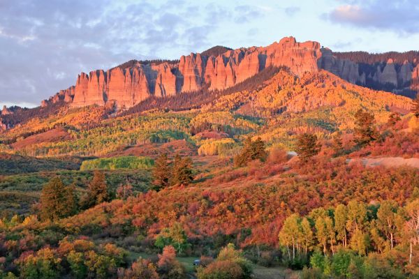 Camping In Colorado Go Camping America   Grand Mesa Uncompahgre And Gunnison National Forests Colorado 