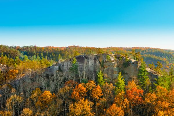 Red River Gorge Geological Area Kentucky